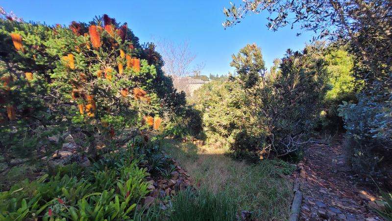 3 Bedroom Property for Sale in Dana Bay Western Cape